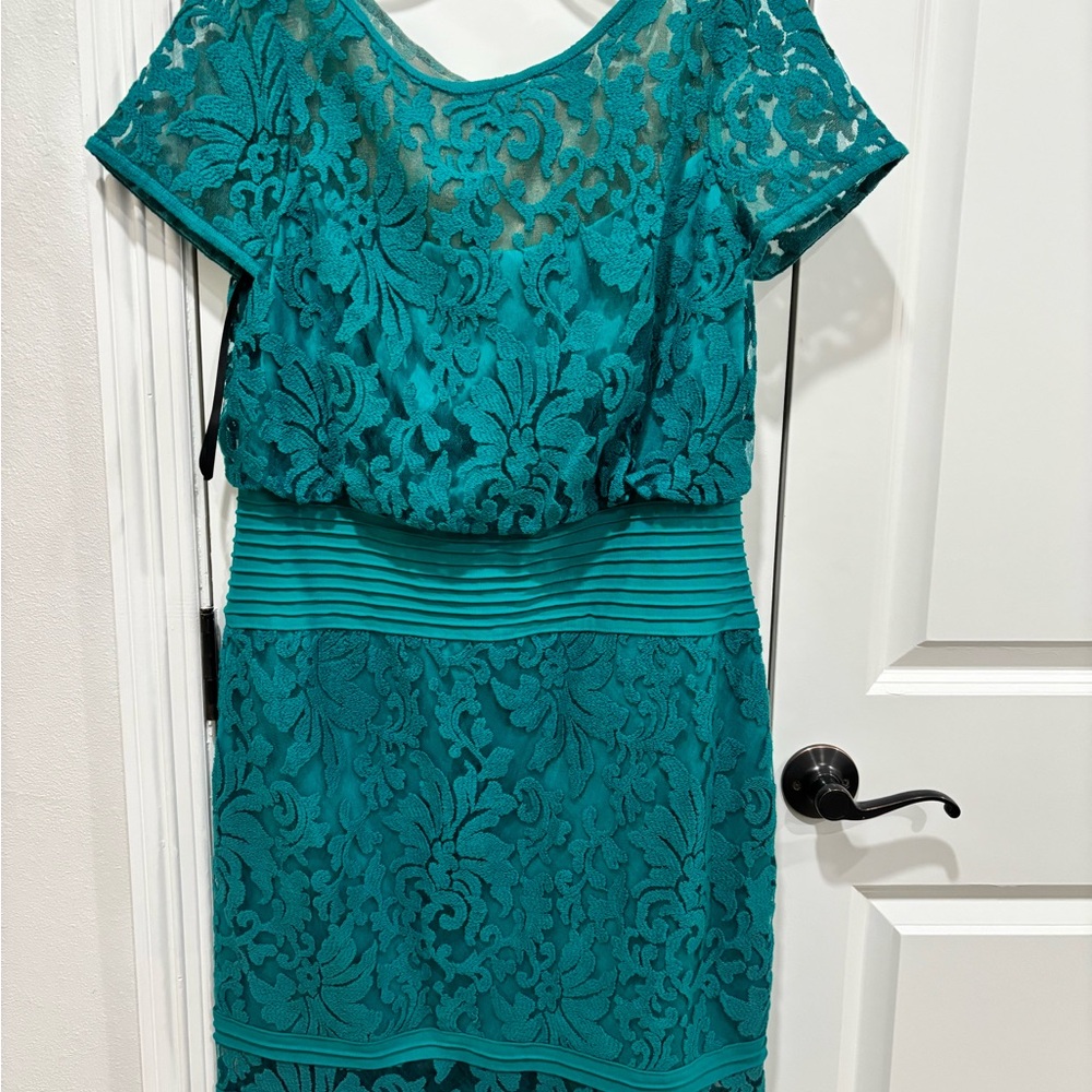 Tadashi waist embroidered lace dress